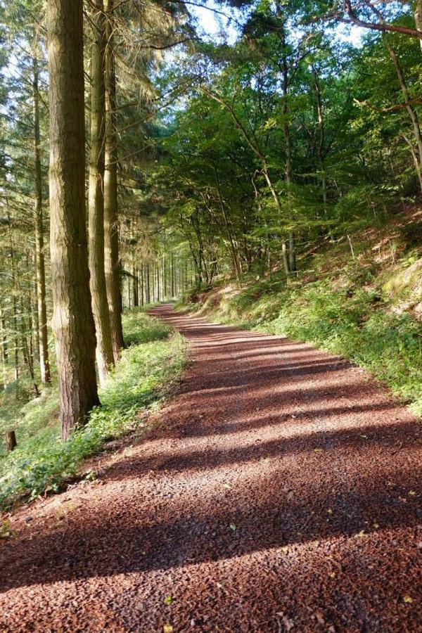 Ferienwohnungen Naheliebe Im Hunsrueck & Naheland Bärenbach Екстериор снимка